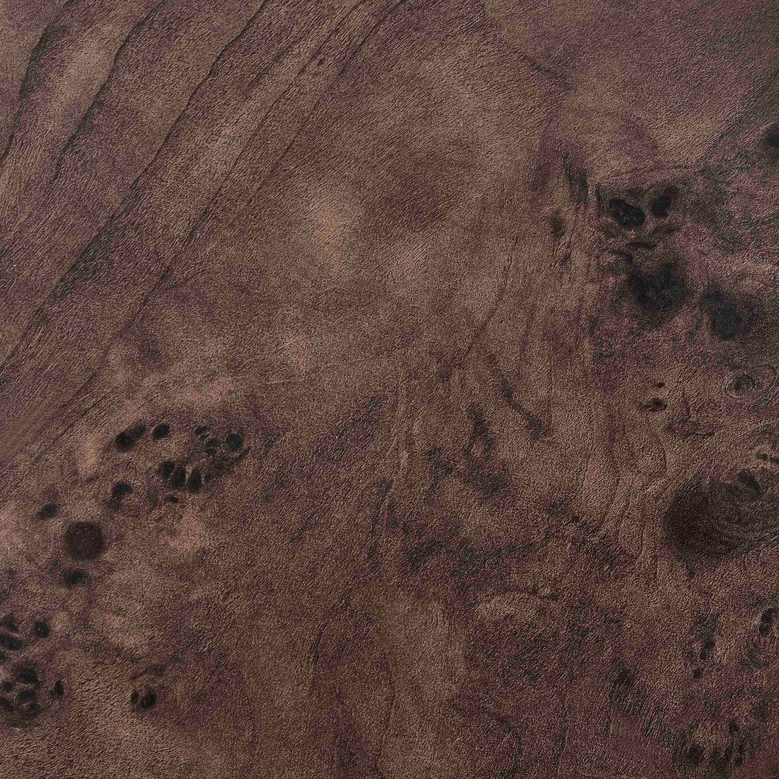 Aleyna Coffee Table - Dark Burl - Green Lane